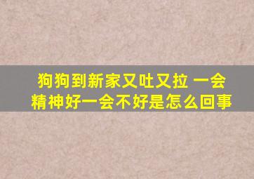 狗狗到新家又吐又拉 一会精神好一会不好是怎么回事